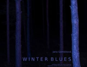  Wernisaż wystawy Winter Blues Jany Gombikovej 