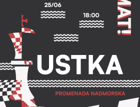 Koncert DJ Brave
