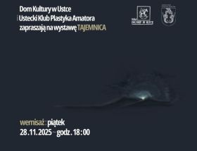 Planszoluby - spotkanie miłośników gier planszowych