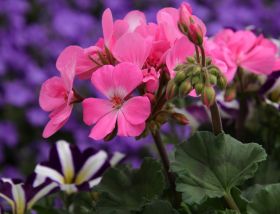 Historyczny Czwartek 