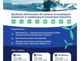 Planszoluby - spotkanie miłośników gier planszowych
