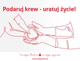 Krótka, Bakuły, Storczykowa - warianty przebudowy