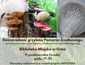 XXI Biesiada -Święto Pieczonego Ziemniaka
