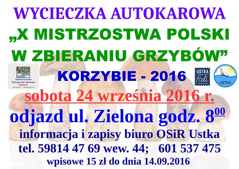 autokar wycieczka