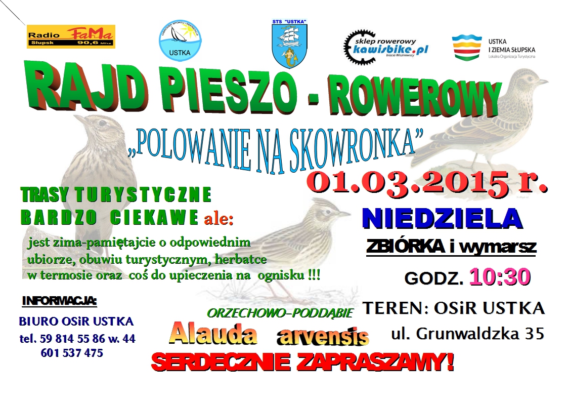rajd 01.03.2015