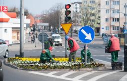 Ustka w wiosennej szacie