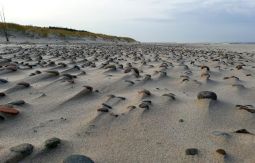 fot. Grzegorz Przybysz / piasek, plaża, kamienie