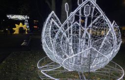 Iluminacje świąteczne