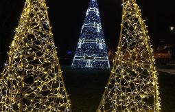 Iluminacje świąteczne - choinki