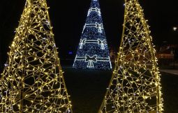 Iluminacje świąteczne - choinki